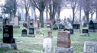 Today's Article Image